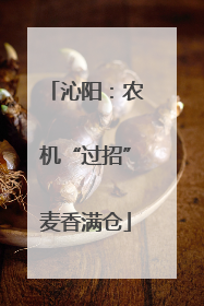沁阳：农机“过招”麦香满仓