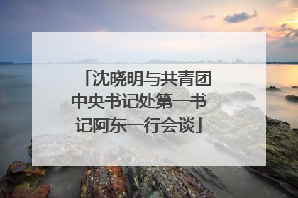 沈晓明与共青团中央书记处第一书记阿东一行会谈