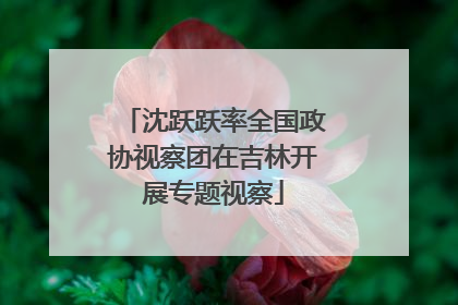 沈跃跃率全国政协视察团在吉林开展专题视察
