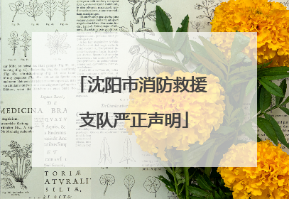 沈阳市消防救援支队严正声明