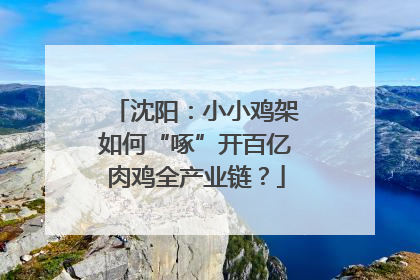 沈阳：小小鸡架如何“啄”开百亿肉鸡全产业链？
