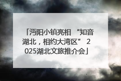 沔阳小镇亮相 “知音湖北，相约大湾区” 2025湖北文旅推介会