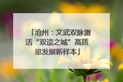 沧州：文武双脉激活“双遗之城”高质量发展新样本