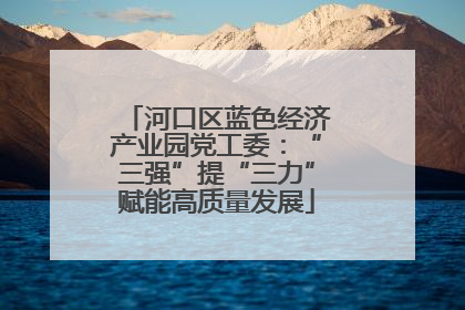 河口区蓝色经济产业园党工委：“三强”提“三力”赋能高质量发展