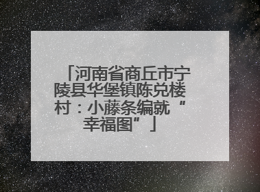 河南省商丘市宁陵县华堡镇陈兑楼村：小藤条编就“幸福图”