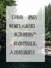 河南一酒店将被1元起拍：系涉刑资产，此前曾因无人出价流拍