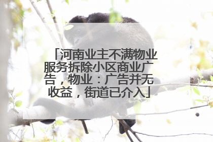 河南业主不满物业服务拆除小区商业广告，物业：广告并无收益，街道已介入