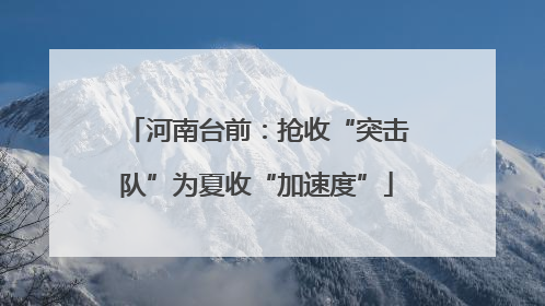河南台前：抢收“突击队”为夏收“加速度”