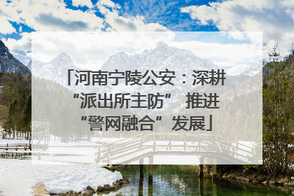 河南宁陵公安：深耕“派出所主防” 推进“警网融合”发展