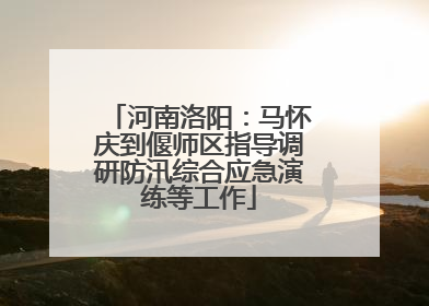 河南洛阳：马怀庆到偃师区指导调研防汛综合应急演练等工作