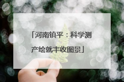 河南镇平：科学测产绘就丰收图景