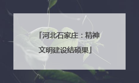河北石家庄：精神文明建设结硕果
