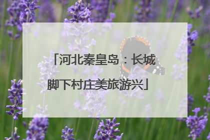 河北秦皇岛：长城脚下村庄美旅游兴