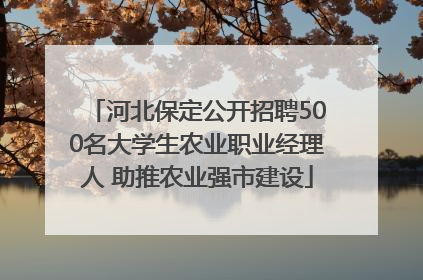 河北保定公开招聘500名大学生农业职业经理人 助推农业强市建设