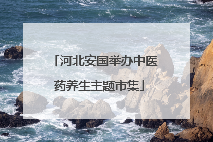 河北安国举办中医药养生主题市集