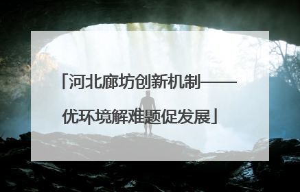 河北廊坊创新机制——优环境解难题促发展