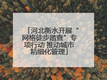 河北衡水开展“网格徒步踏查”专项行动 推动城市精细化管理