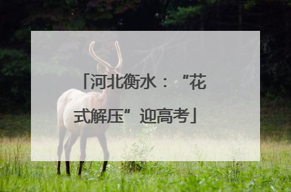 河北衡水：“花式解压”迎高考