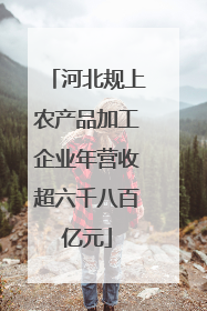 河北规上农产品加工企业年营收超六千八百亿元