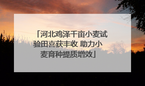 河北鸡泽千亩小麦试验田喜获丰收 助力小麦育种提质增效