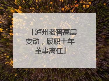 泸州老窖高层变动，履职十年董事离任