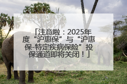 注意啦：2025年度“沪惠保”与“沪惠保-特定疾病保险”投保通道即将关闭！