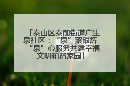 泰山区泰前街道广生泉社区：“泉”聚银辉“泉”心服务共建幸福文明和谐家园
