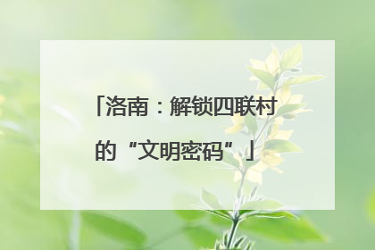 洛南：解锁四联村的“文明密码”