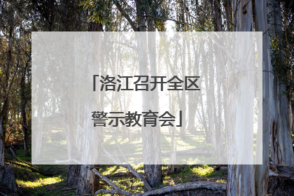洛江召开全区警示教育会