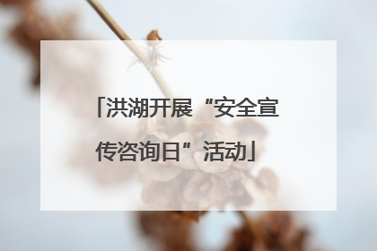 洪湖开展“安全宣传咨询日”活动