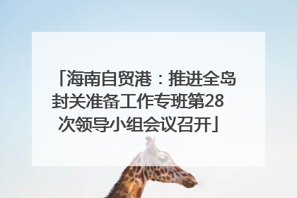 海南自贸港：推进全岛封关准备工作专班第28次领导小组会议召开