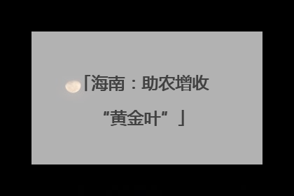 海南：助农增收 “黄金叶”