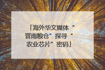 海外华文媒体“晋南粮仓”探寻“农业芯片”密码