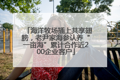 海洋牧场插上共享翅膀，老尹家海参认养“一亩海”累计合作近200企业客户