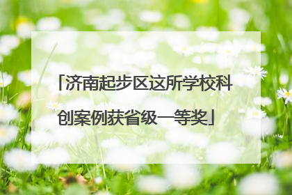 济南起步区这所学校科创案例获省级一等奖