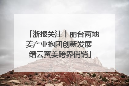 浙报关注丨丽台两地姜产业抱团创新发展 缙云黄姜跨界俏销
