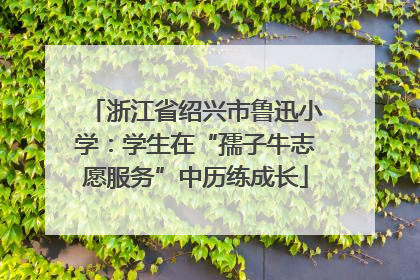 浙江省绍兴市鲁迅小学：学生在“孺子牛志愿服务”中历练成长