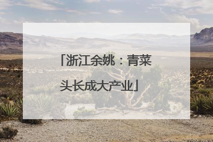 浙江余姚：青菜头长成大产业