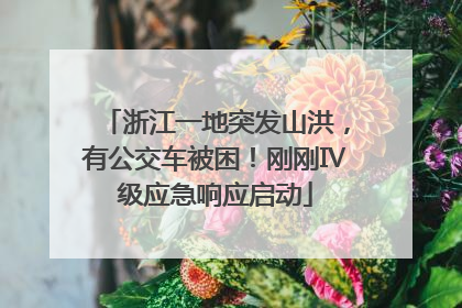 浙江一地突发山洪，有公交车被困！刚刚Ⅳ级应急响应启动
