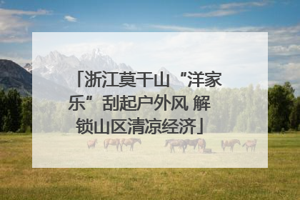 浙江莫干山“洋家乐”刮起户外风 解锁山区清凉经济