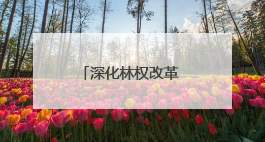 深化林权改革 共绘生态蓝图——山西省临汾市召开集体林权制度改革专题研讨会