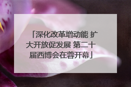 深化改革增动能 扩大开放促发展 第二十届西博会在蓉开幕