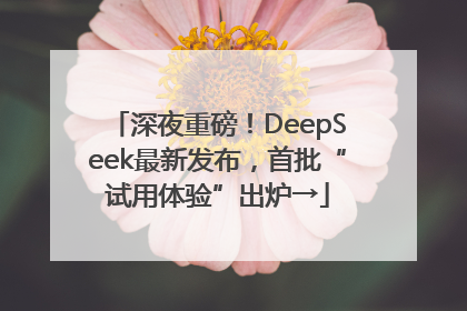 深夜重磅！DeepSeek最新发布，首批“试用体验”出炉→