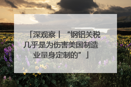 深观察丨“钢铝关税几乎是为伤害美国制造业量身定制的”