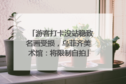 游客打卡没站稳致名画受损，乌菲齐美术馆：将限制自拍