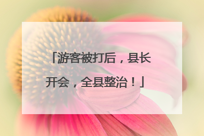 游客被打后，县长开会，全县整治！