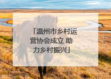 温州市乡村运营协会成立 助力乡村振兴