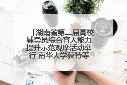 湖南省第二届高校辅导员综合育人能力提升示范观摩活动举行 南华大学获特等奖和一等奖