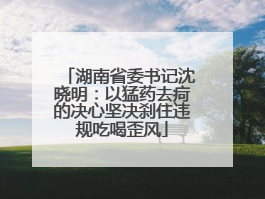 湖南省委书记沈晓明：以猛药去疴的决心坚决刹住违规吃喝歪风