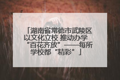 湖南省常德市武陵区以文化立校 推动办学“百花齐放”——每所学校都“精彩”
